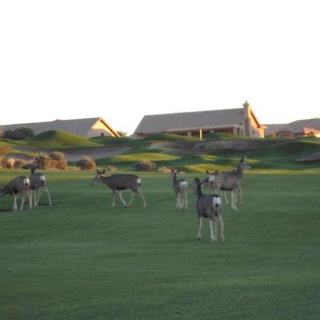 Gold Canyon Golf Resort Zimmer foto