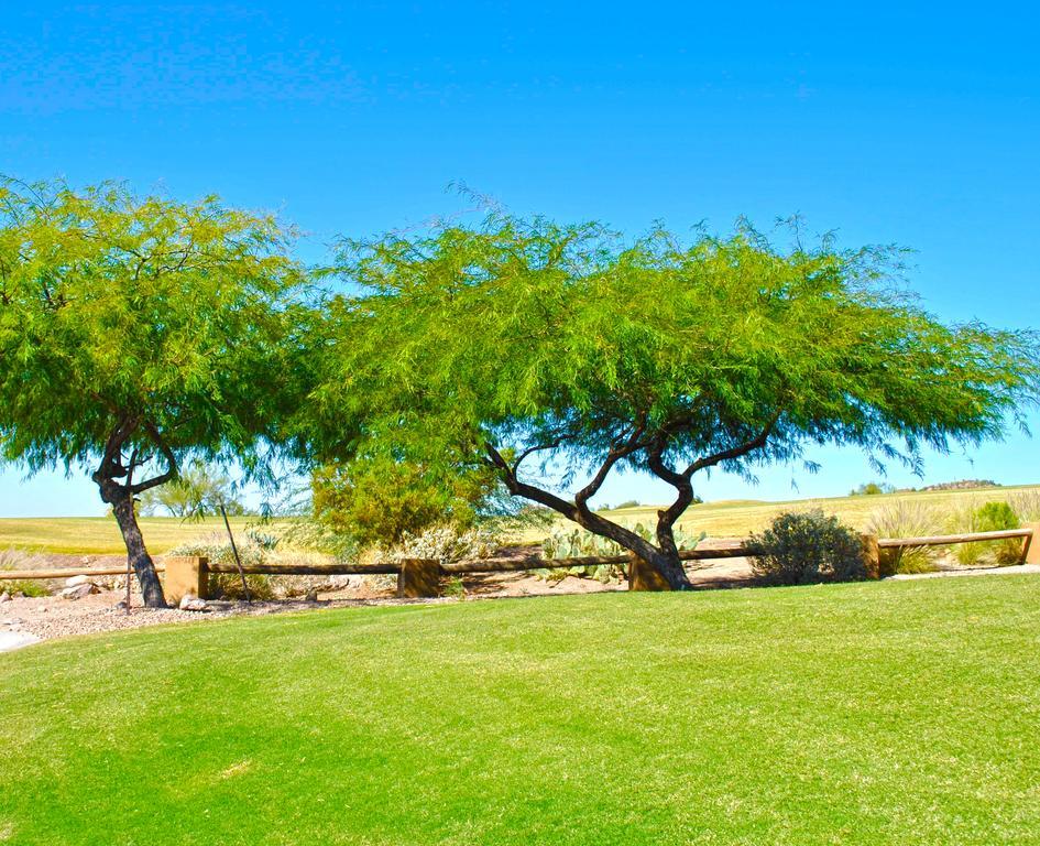 Gold Canyon Golf Resort Zimmer foto